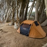 COALATREE-DETOUR-POP-UP-TENT-13