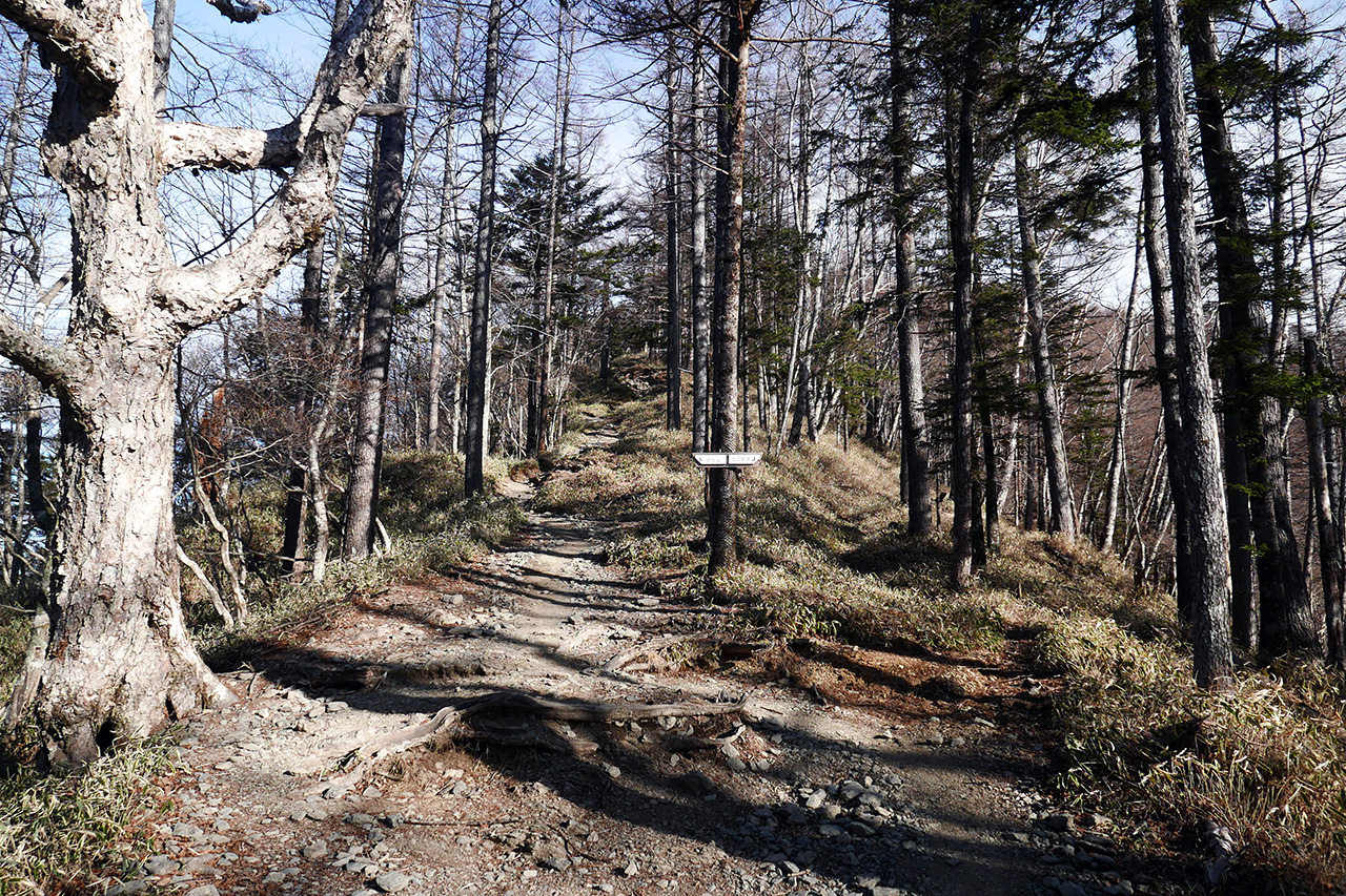 最後の奥多摩小屋テント泊 六ツ石山 鷹ノ巣山 七ツ石山 雲取山 奥秩父縦走路 午前3時の思いつき