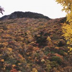 Autumn-leaves-Fukushima-Mount-Adatarayama-000